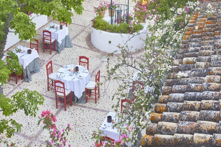 Magnifique patio fleuri dans votre hôtel en Andalousie